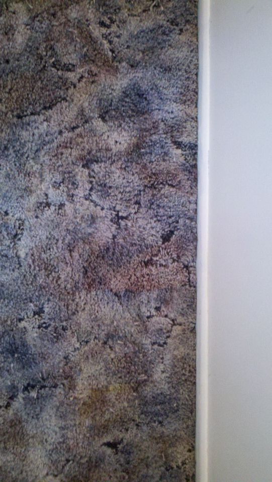 Innovative Floors Inc. Gallery La Vista, NE